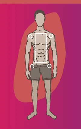 انواع تیپ‌های بدنی