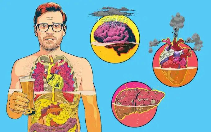 تاثیر الکل در عضله سازی